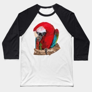 Aliverde Macaw Baseball T-Shirt